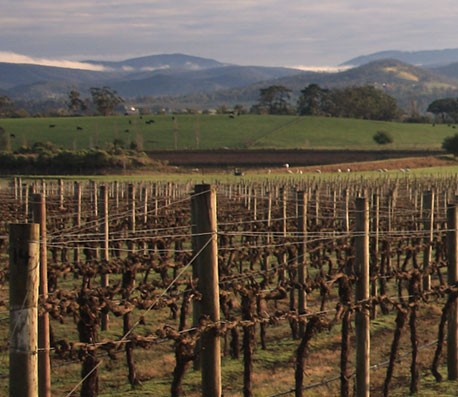 短信轰炸业务网